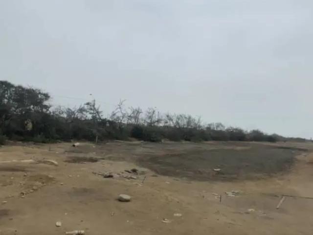 Terreno venta en Chincha Alta, Ica