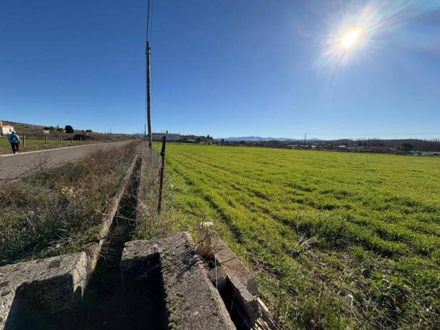 Terreno en venta en Ciudad Rodrigo, Castilla y León