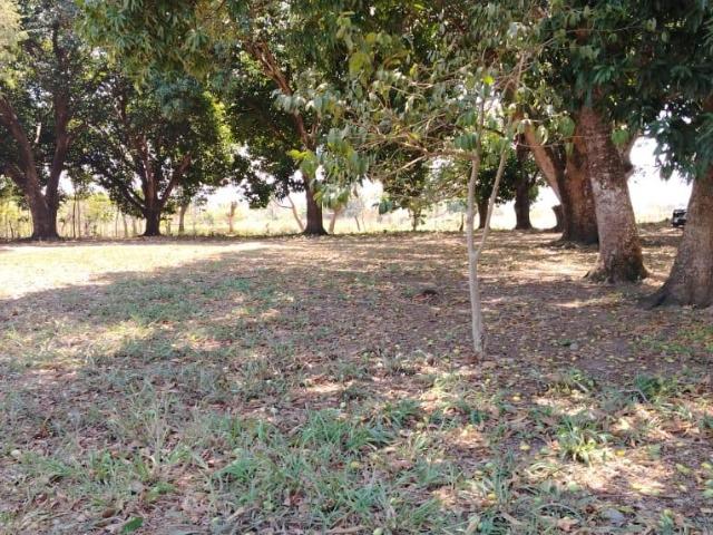Terreno en venta en San Juan Bautista Tuxtepec, Oaxaca