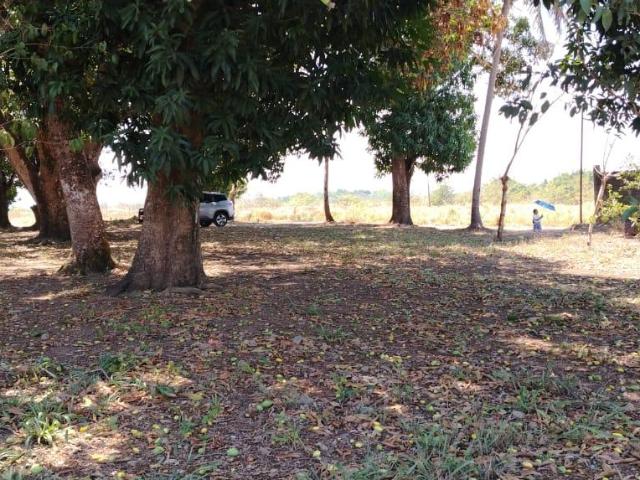 Terreno en venta en San Juan Bautista Tuxtepec, Oaxaca