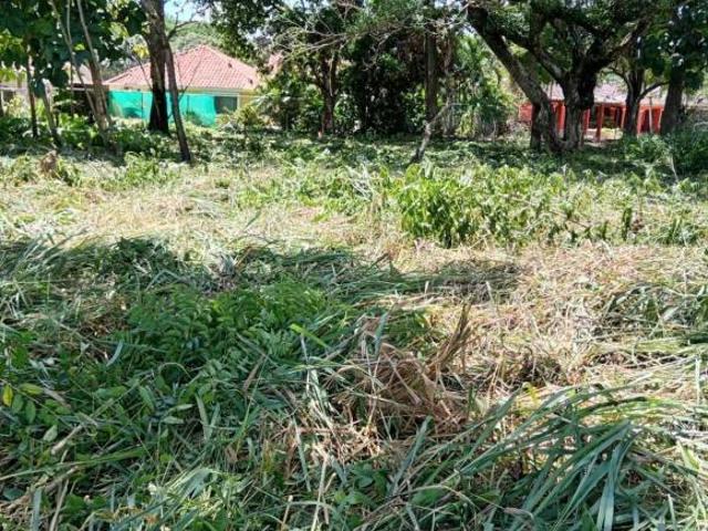 VENTA DE TERRENO EN CORONADO