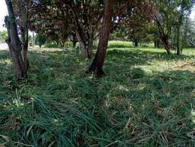 VENTA DE TERRENO EN CORONADO