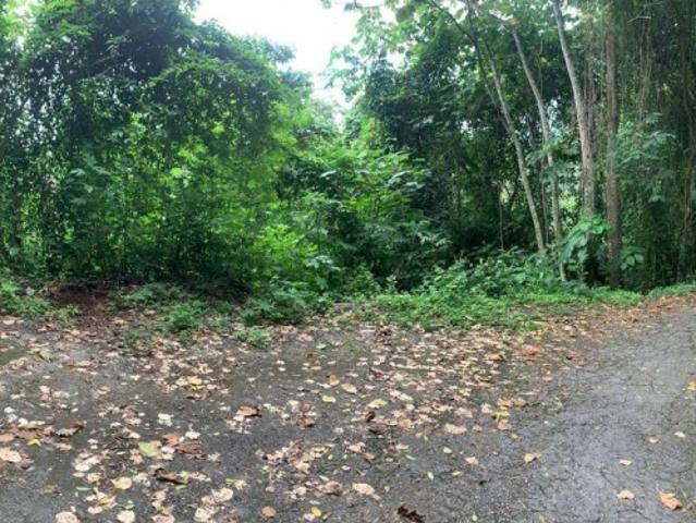 Terreno en venta en Boca De Uchire, Miranda