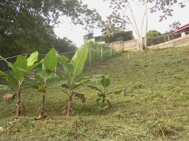 Terreno en venta en Boca De Uchire, Miranda