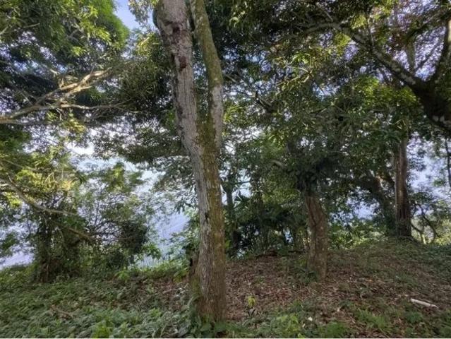 Terreno venta en Barrio Colón, Colón