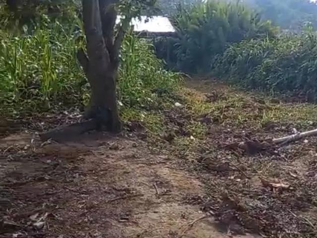 Terreno venta en Yurimaguas, Loreto