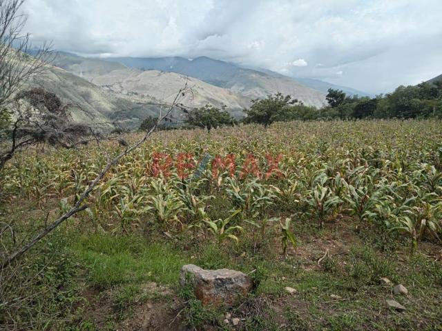 Terreno venta en Huánuco