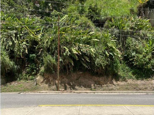Terreno en venta en Barinas