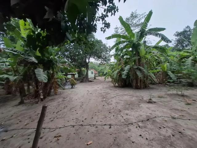Terreno en venta en Acatlán De Pérez Figueroa, Oaxaca