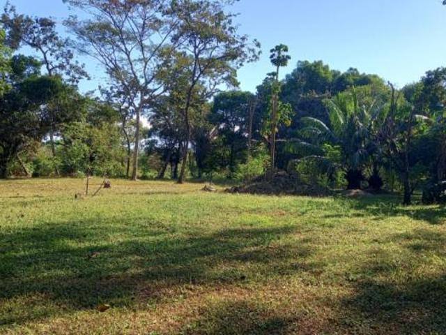 Terreno venta en Los Algarrobos, Dolega