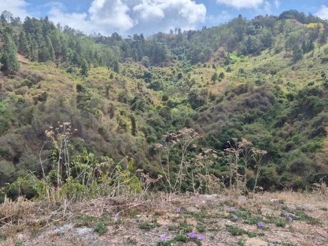 Terreno en venta en Baruta, Caracas