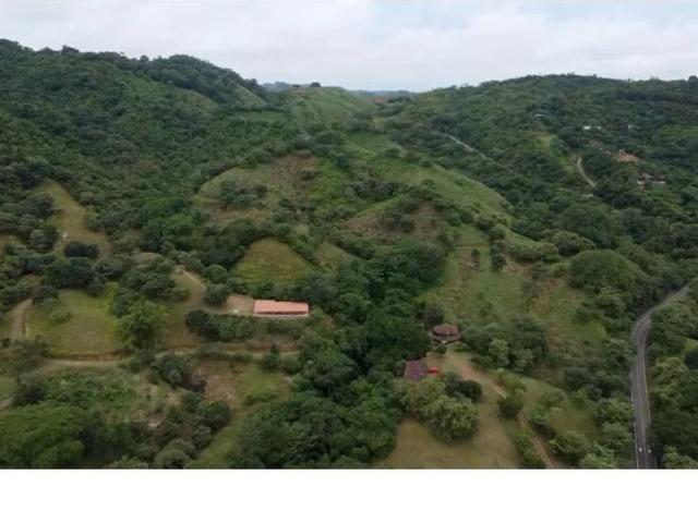 Terreno venta en Tonosí, Los Santos