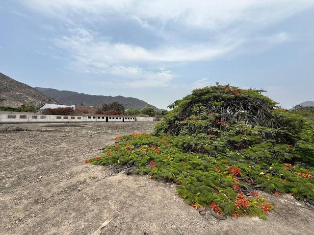 Terreno venta en Manchay, Lima Metropolitana