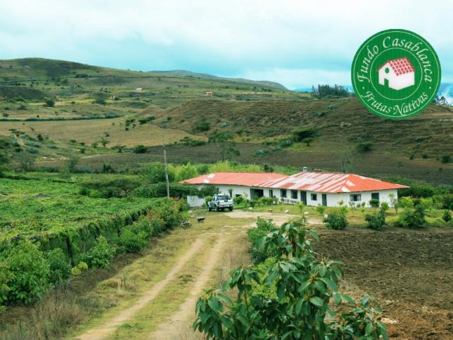 Terreno venta en Manchay, Lima Metropolitana