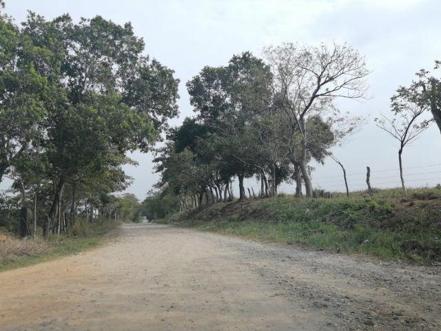 Terreno en venta en Loma Bonita, Oaxaca