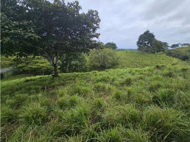 Terreno venta en Pedasí, Los Santos