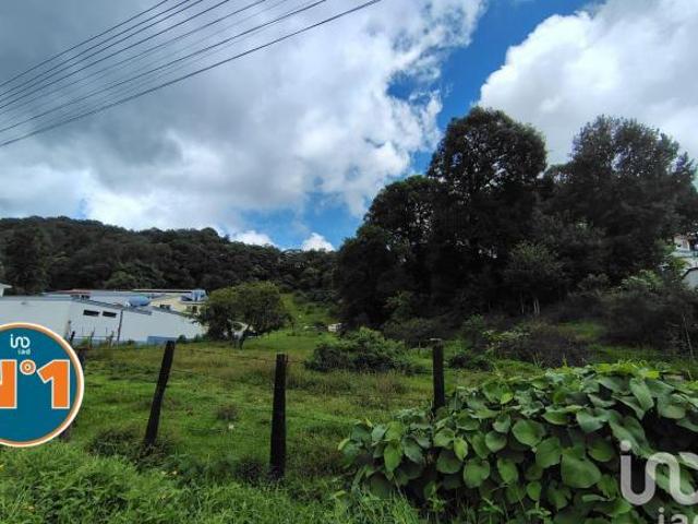 Terreno en venta en Rafael Lucio, Veracruz