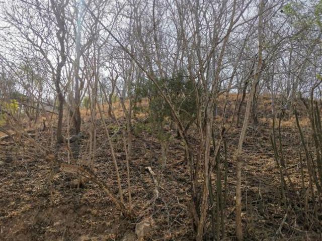 Terreno en venta en San Miguel Del Puerto, Oaxaca