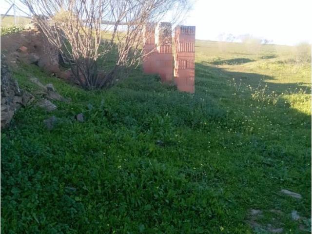 Terreno en venta en Puebla Del Maestre, Extremadura