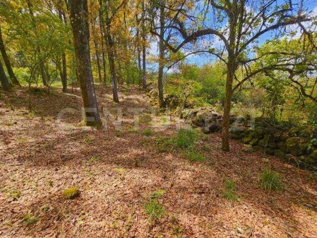 Terreno en venta en Chignautla, Puebla