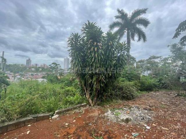 Venta de Terreno en Pueblo Nuevo 25GB7040