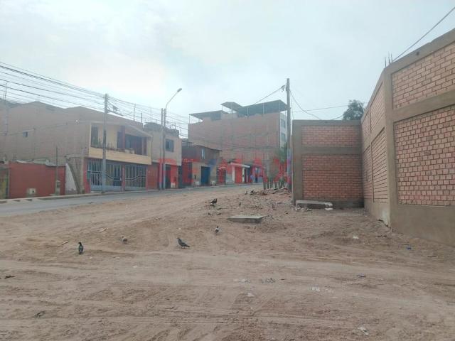 Terreno venta en Zapallal, Puente Piedra