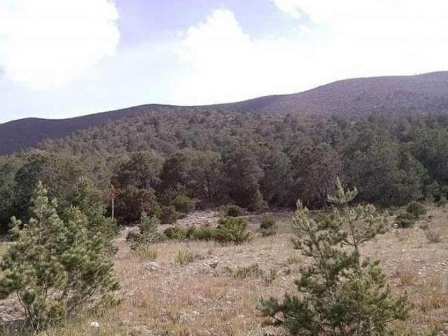 Terreno en venta en Galeana, Nuevo León