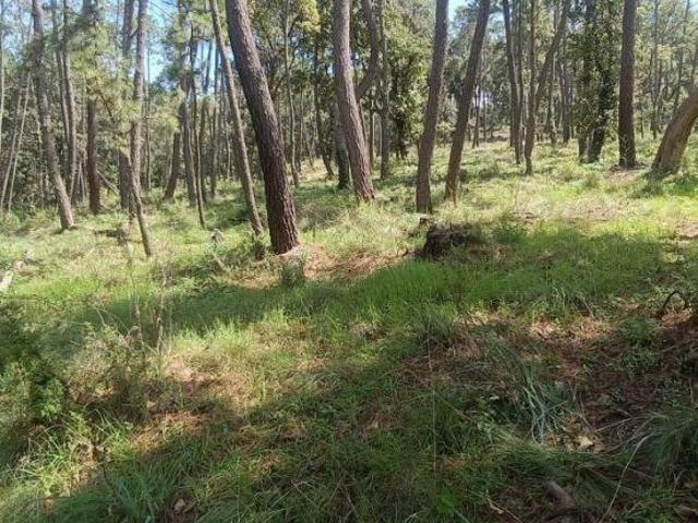 VENTA DE TERRENO EN TAPALPA 17 HECTAREAS