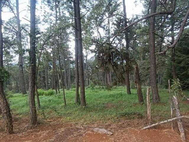 VENTA DE TERRENO EN TAPALPA 17 HECTAREAS