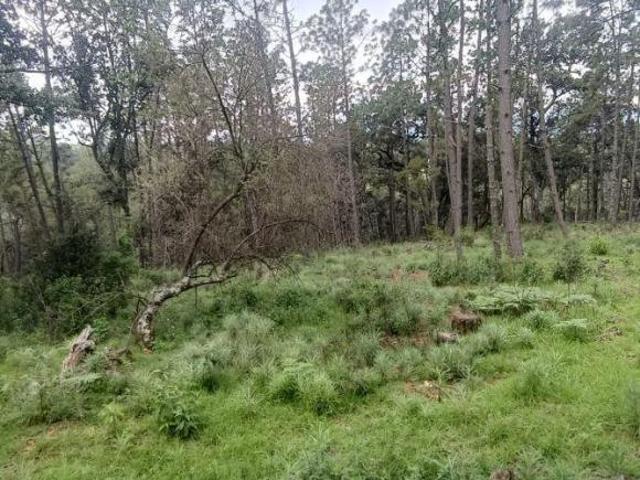 VENTA DE TERRENO EN TAPALPA 17 HECTAREAS