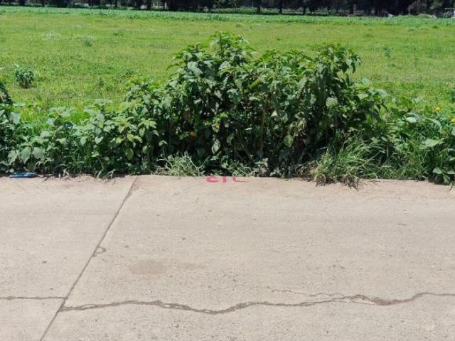 Terreno en venta en Teotihuacán, Estado de México