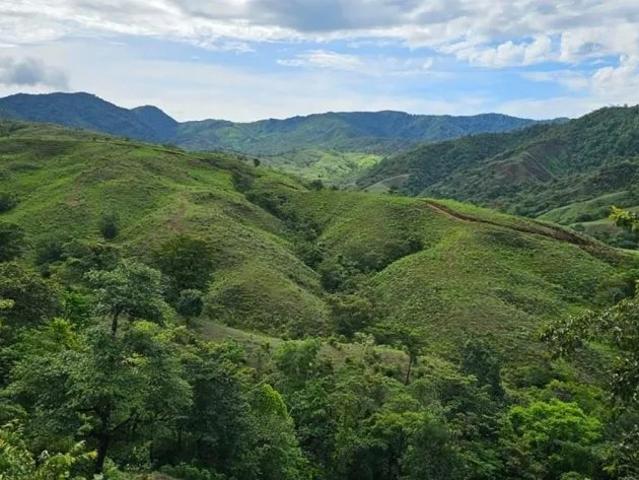 Terreno venta en Mariato