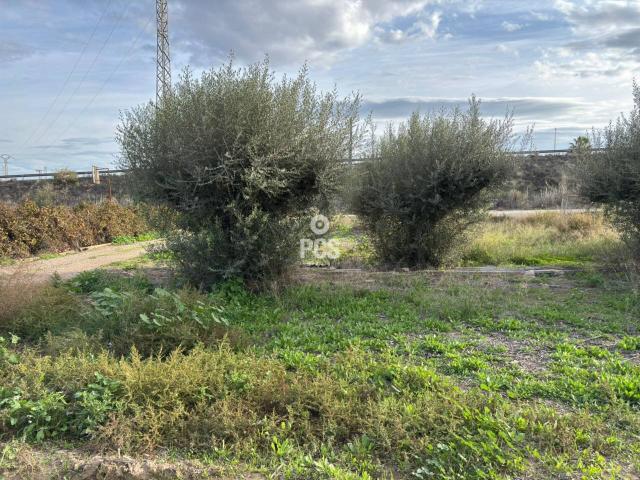 Terreno en venta en Mortí Bajo, Bajo Guadalentín