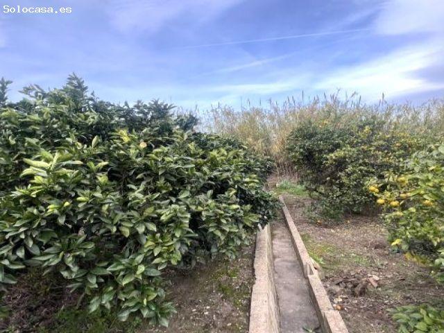 Piso en venta en la Ribera Alta, Valencia