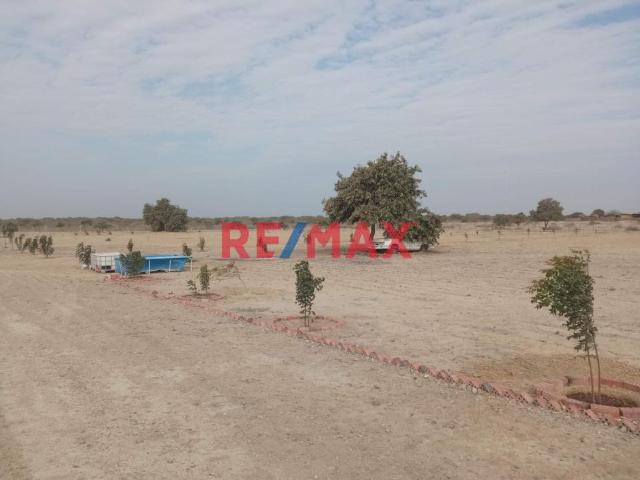 Terreno venta en Piura
