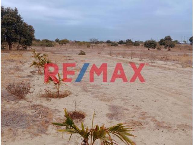 Terreno venta en Piura