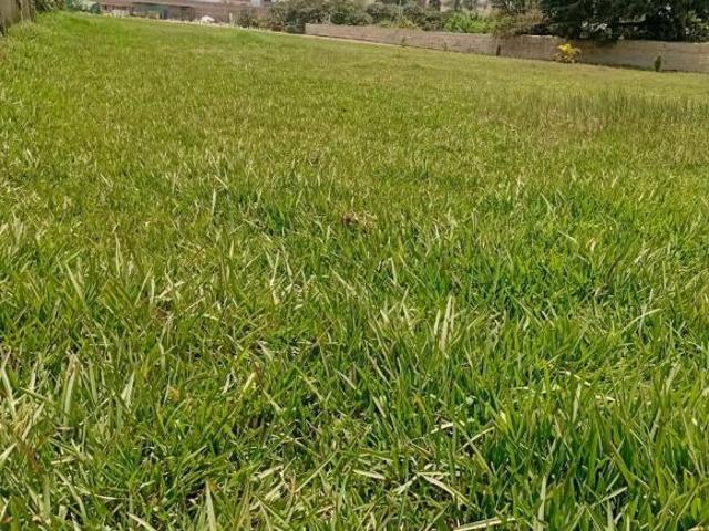 Terreno venta en Lima, Lima Metropolitana