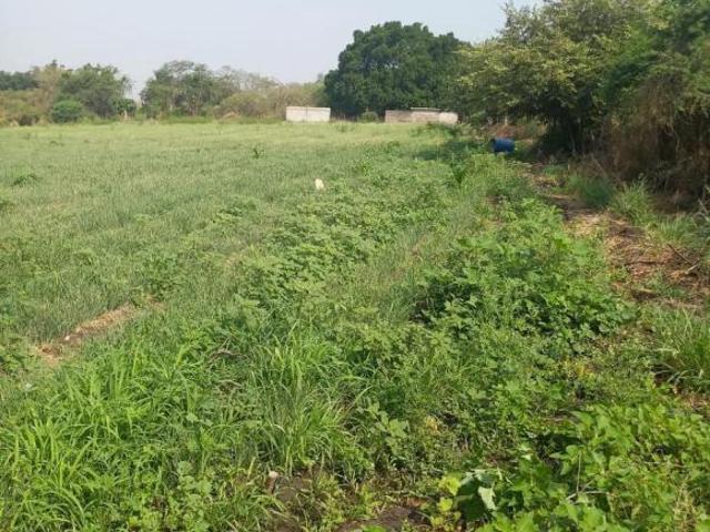 Terreno en venta en Morelos