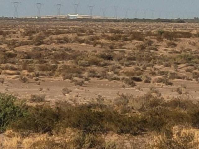 Terreno en venta en Ocampo, Coahuila