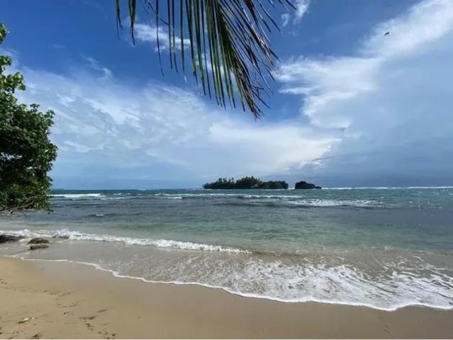 Terreno venta en Isla Colón, Bocas del Toro