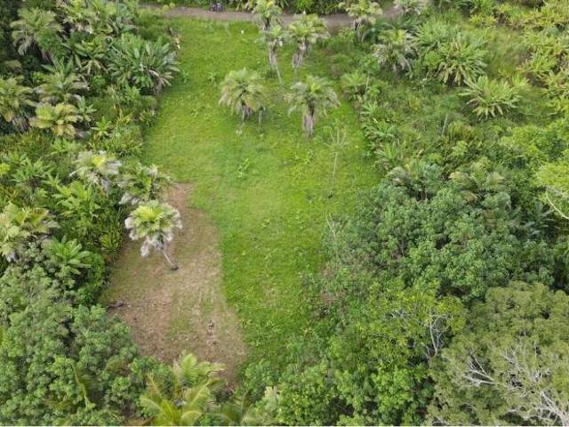 Venta de terreno frente al mar en bocas del toro con servicios y casa club de 2299 m2