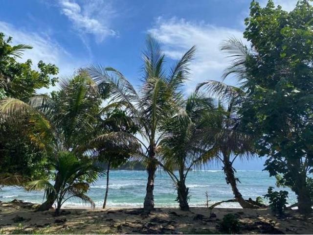 Venta de terreno frente al mar en bocas del toro con servicios y casa club de 2299 m2