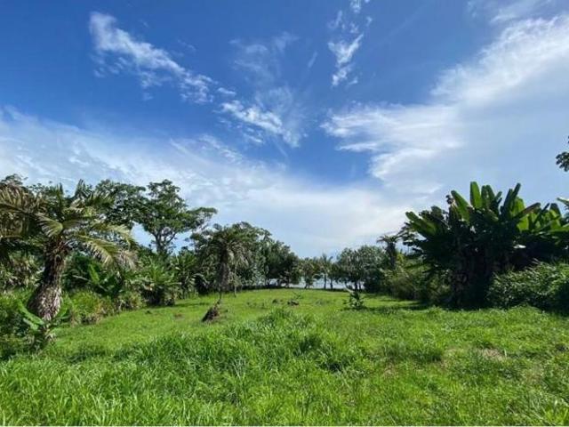 Venta de terreno frente al mar en bocas del toro con servicios y casa club de 2299 m2