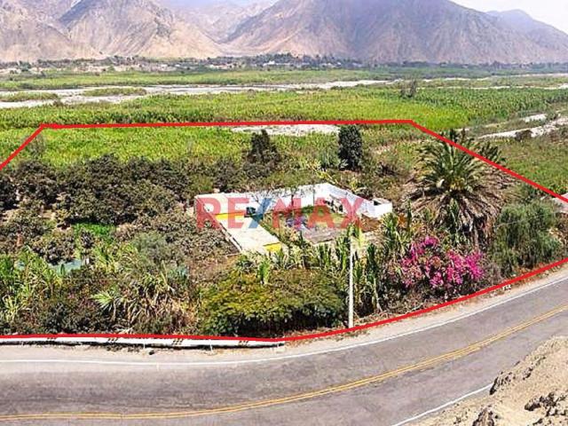 Terreno venta en Canete, Lima Metropolitana