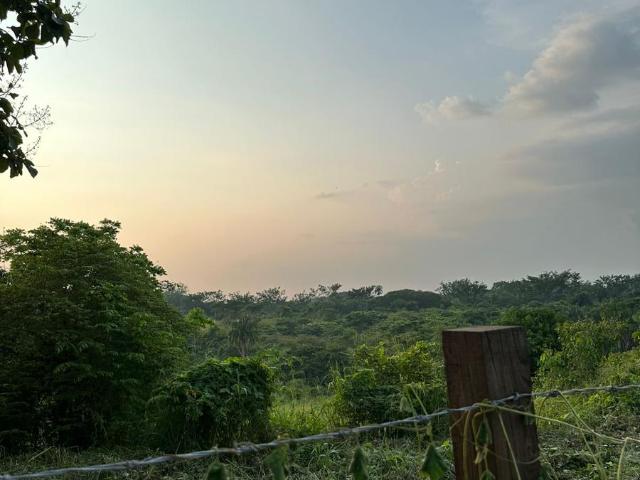 Terreno en venta en San Juan Bautista Tuxtepec, Oaxaca
