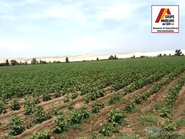 Terreno venta en San Clemente, Ica