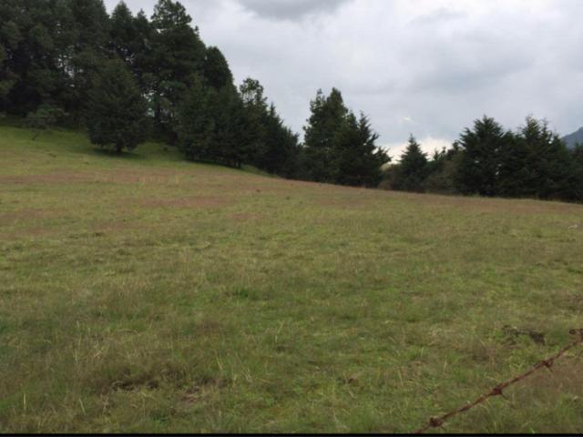 Terreno en venta en Victoria, Tamaulipas