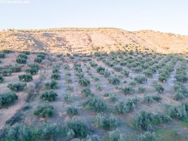 Local Comercial en venta en Comarca de la Vega de Granada, Andalucía