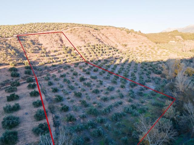 Terreno en venta en Comarca de la Vega de Granada, Andalucía