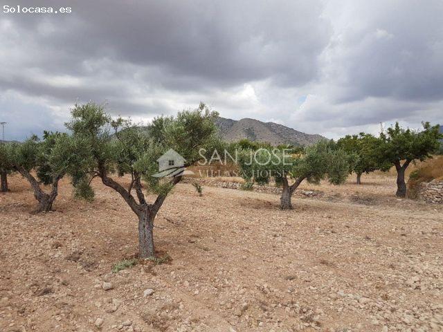 Local Comercial en venta en el Vinalopó Mitjà / El Vinalopó Medio, Valencia